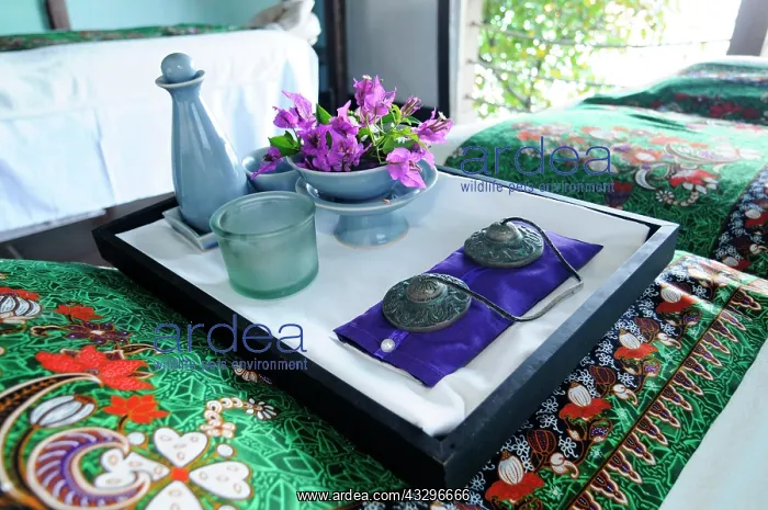 : Massage Room, Raffles Resort, Canouan Island, Saint : Massage Room, Raffles Resort, Canouan Island, Saint