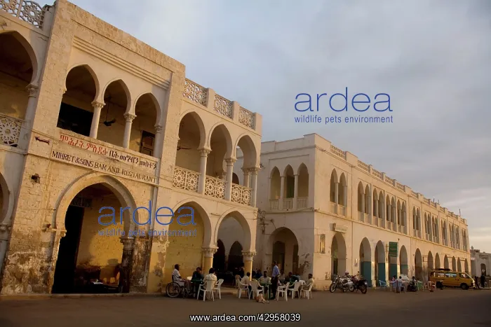 : Massawa - Old town with local residents : Massawa - Old town with local residents