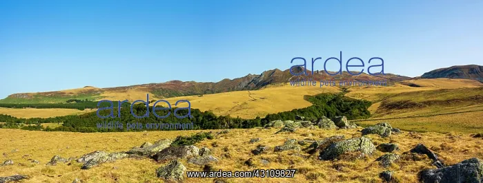 : Massif of Sancy, Auvergne Volcanoes Natural Regional : Massif of Sancy, Auvergne Volcanoes Natural Regional
