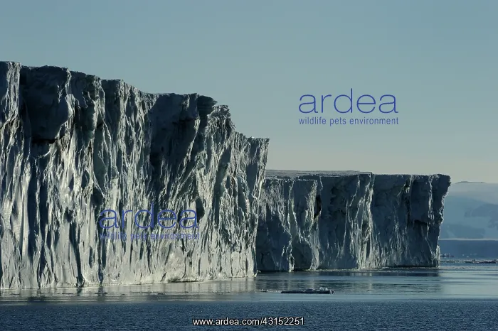 : Massive Iceberg in the Ross sea : Massive Iceberg in the Ross sea