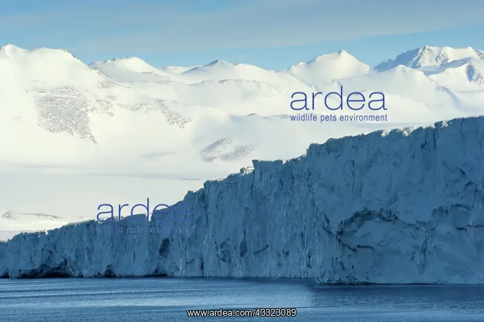 : Massive iceberg in the Ross sea : Massive iceberg in the Ross sea