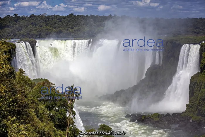 : Massive waterfalls create dense fog : Massive waterfalls create dense fog