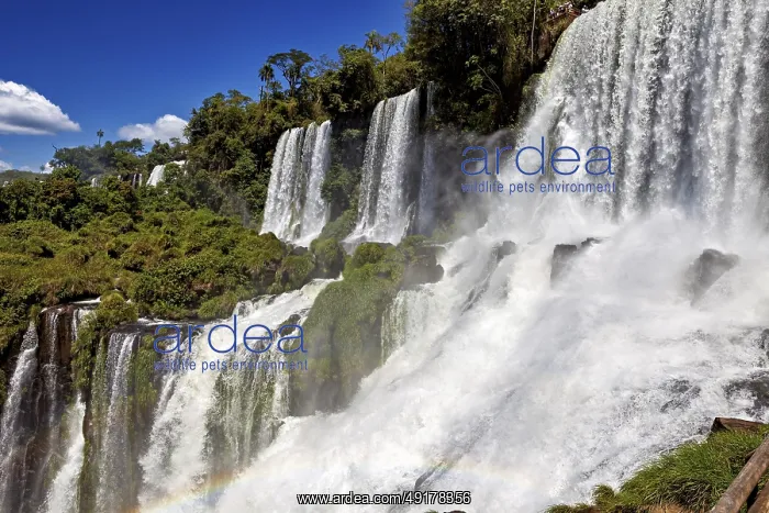 : Massive waterfalls create dense spray and a rainbow : Massive waterfalls create dense spray and a rainbow