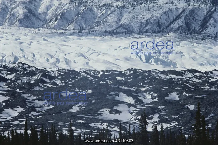 : Matanuska Glacier : Matanuska Glacier