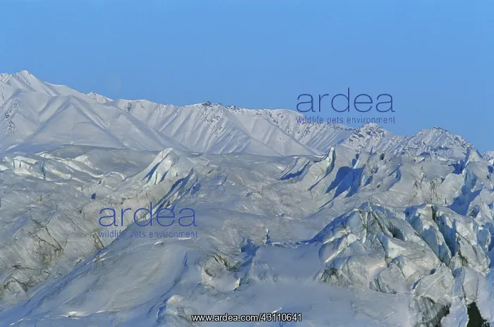 : Matanuska Glacier : Matanuska Glacier