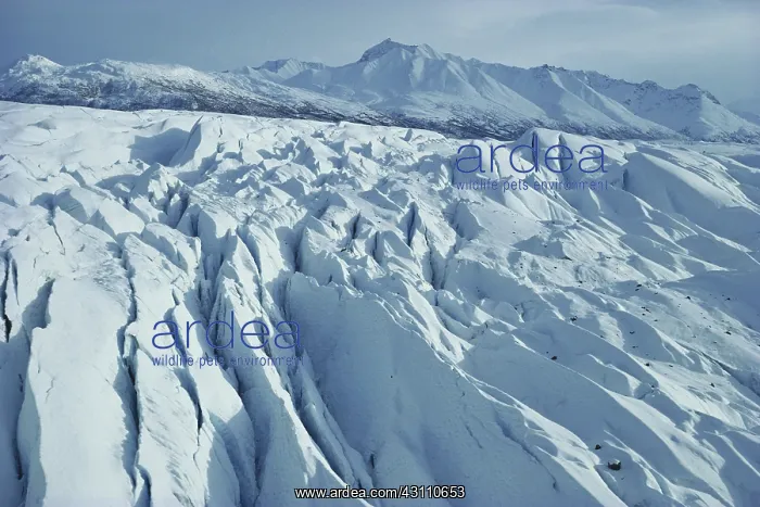 : Matanuska Glacier : Matanuska Glacier