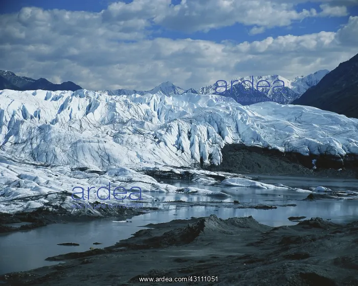 : Matanuska Glacier : Matanuska Glacier