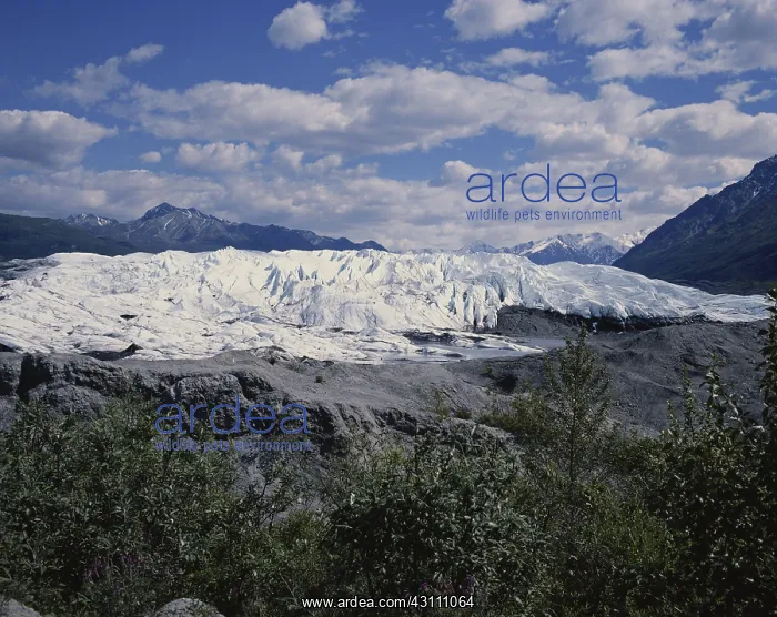 : Matanuska Glacier : Matanuska Glacier