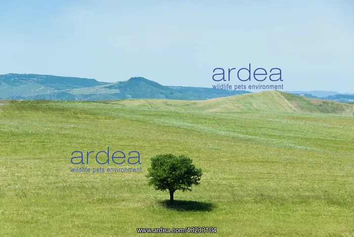 : Matera, Basilicata. Parco regionale delle : Matera, Basilicata. Parco regionale delle