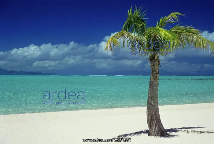: Matira Beach on the island of Bora Bora : Matira Beach on the island of Bora Bora