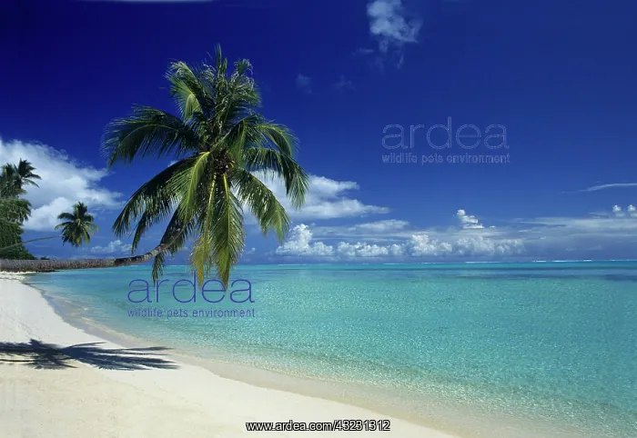 : Matira Beach on the island of Bora Bora : Matira Beach on the island of Bora Bora
