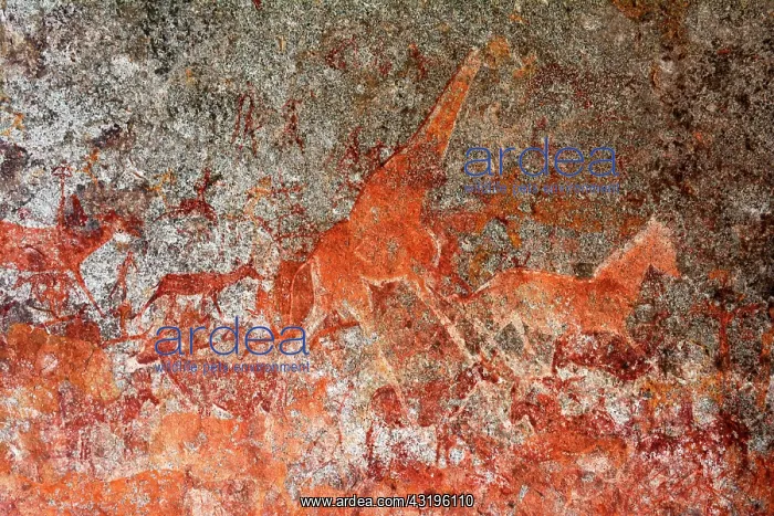 : Matobos Hills are full of rocks paintings made by : Matobos Hills are full of rocks paintings made by