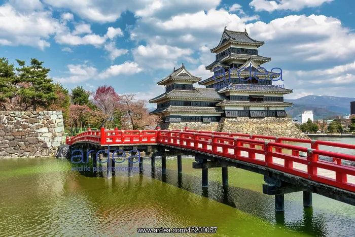 : Matsumoto Castle Japan : Matsumoto Castle Japan