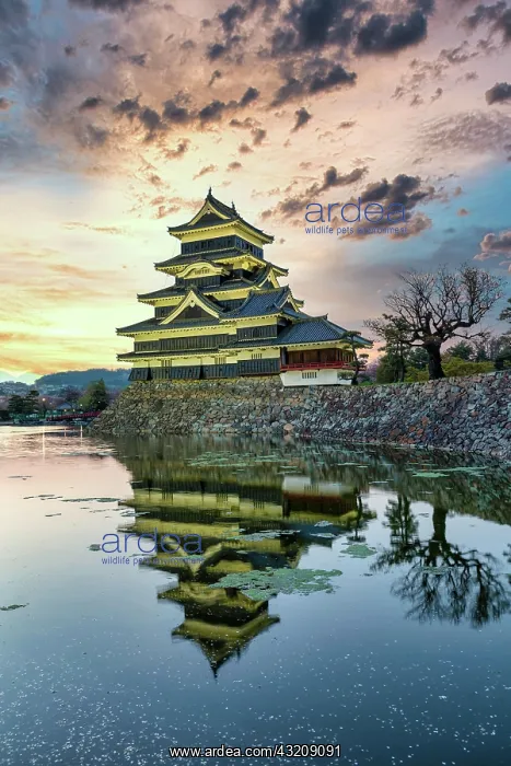 : Matsumoto Castle Japan : Matsumoto Castle Japan