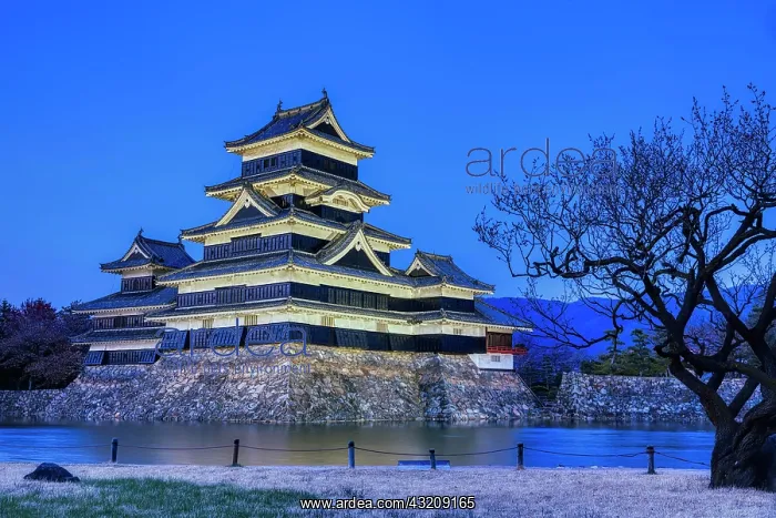 : Matsumoto Castle Japan : Matsumoto Castle Japan