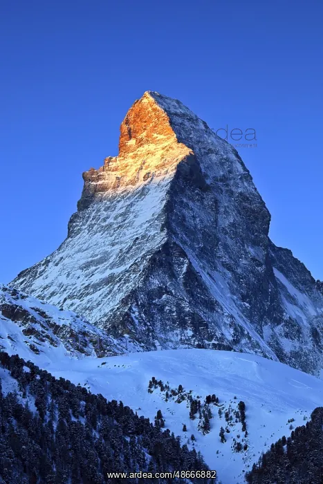 : Matterhorn 4478 m, near Zermatt, Switzerland, Europe : Matterhorn 4478 m, near Zermatt, Switzerland, Europe
