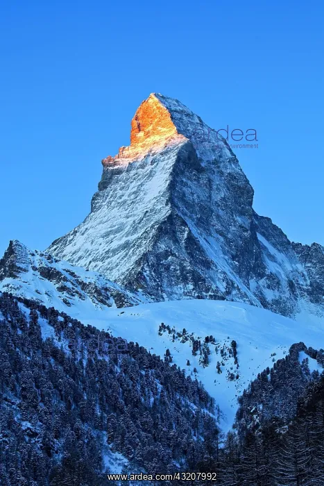 : Matterhorn, 4478 (m), Zermatt, Valais, Switzerland : Matterhorn, 4478 (m), Zermatt, Valais, Switzerland