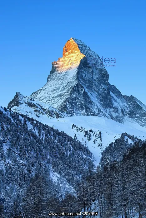 : Matterhorn, 4478 (m), Zermatt, Valais, Switzerland : Matterhorn, 4478 (m), Zermatt, Valais, Switzerland