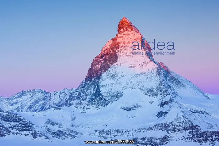: Matterhorn, 4478 m, Zermatt, Valais, Switzerland : Matterhorn, 4478 m, Zermatt, Valais, Switzerland