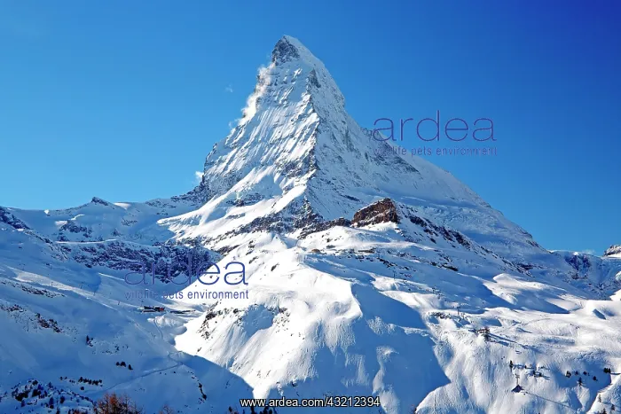 : Matterhorn 4478m, Zermatt, Mattertal, Valais, Switzerland : Matterhorn 4478m, Zermatt, Mattertal, Valais, Switzerland