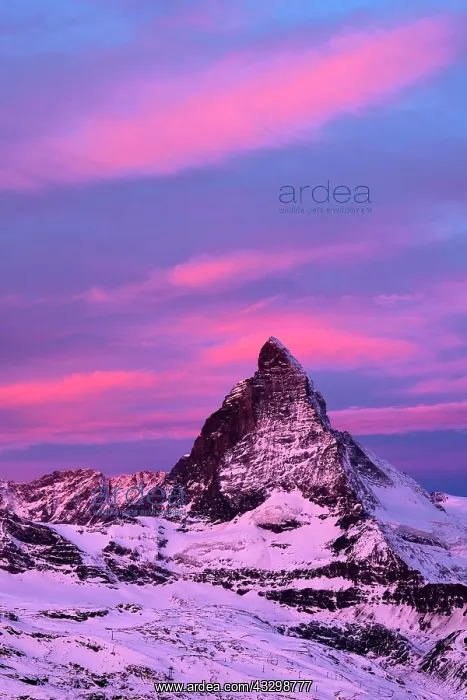 : Matterhorn at dawn, Valais Alps, Zermatt, Canton