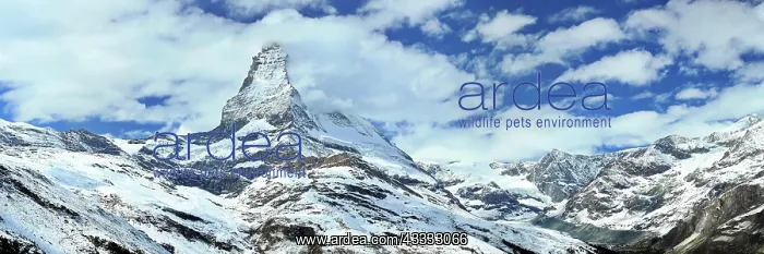  : The Matterhorn with an impressive cloud plume. Zermatt
