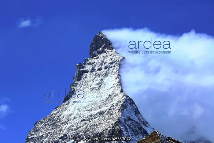 : The Matterhorn with an impressive cloud plume. Zermatt : The Matterhorn with an impressive cloud plume. Zermatt