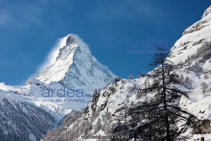 : Matterhorn looms over Zermatt, Switzerland : Matterhorn looms over Zermatt, Switzerland