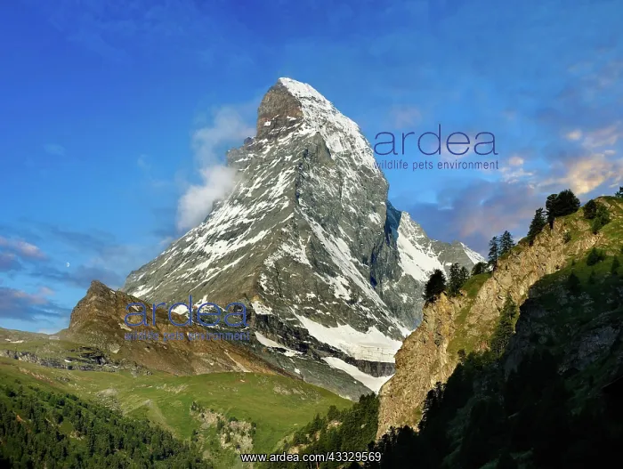  : The Matterhorn or Monte Cervino mountain peak, Z