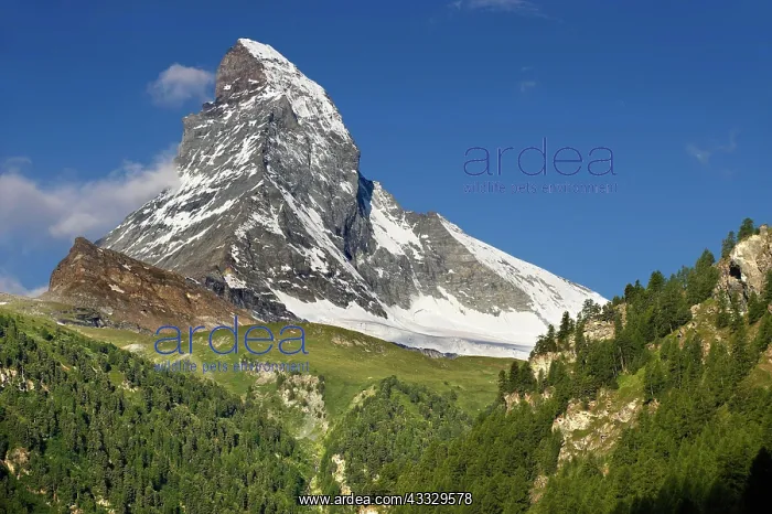 : The Matterhorn or Monte Cervino mountain peak, Z : The Matterhorn or Monte Cervino mountain peak, Z
