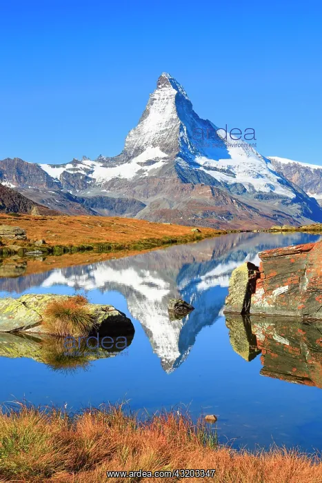 : Matterhorn and mountain lake, Valais, Switzerland : Matterhorn and mountain lake, Valais, Switzerland