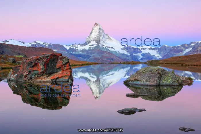 : Matterhorn and mountain lake, Valais, Switzerland : Matterhorn and mountain lake, Valais, Switzerland