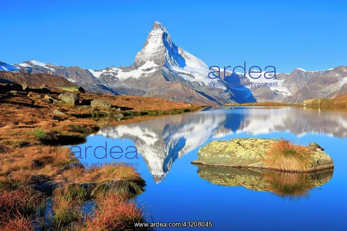 : Matterhorn and mountain lake, Valais, Switzerland : Matterhorn and mountain lake, Valais, Switzerland