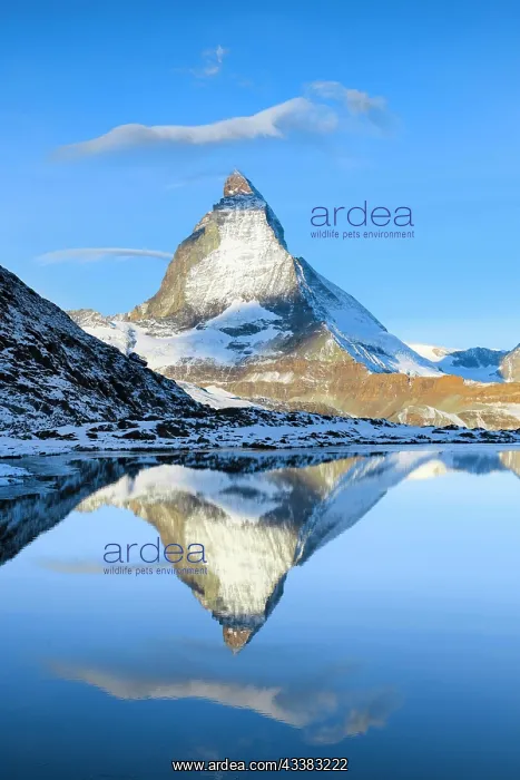 : Matterhorn and mountain lake, Valais, Switzerland : Matterhorn and mountain lake, Valais, Switzerland