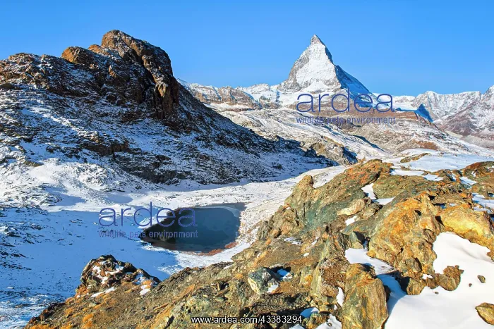 : Matterhorn and mountain lake, Valais, Switzerland : Matterhorn and mountain lake, Valais, Switzerland