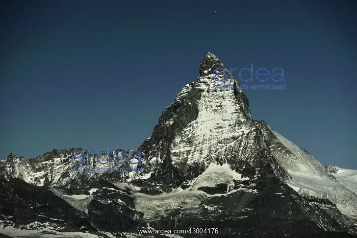: Matterhorn at night moon light with stars : Matterhorn at night moon light with stars