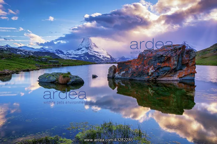 : Matterhorn reflected in the Stellisee at sunset : Matterhorn reflected in the Stellisee at sunset