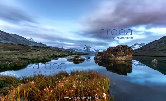  : Matterhorn reflected in the Stellisee, Zermatt