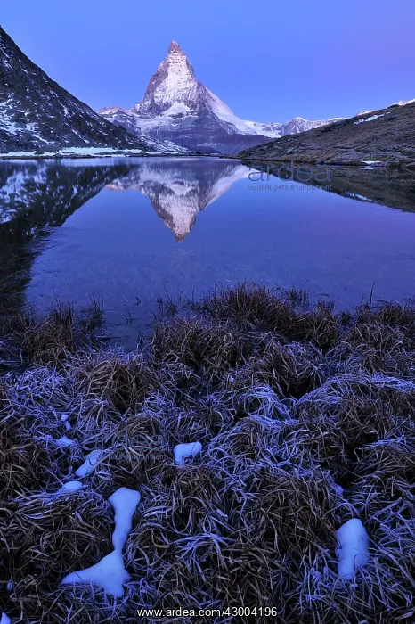 : Matterhorn with reflection Riffelsee at dusk before sunrise : Matterhorn with reflection Riffelsee at dusk before sunrise