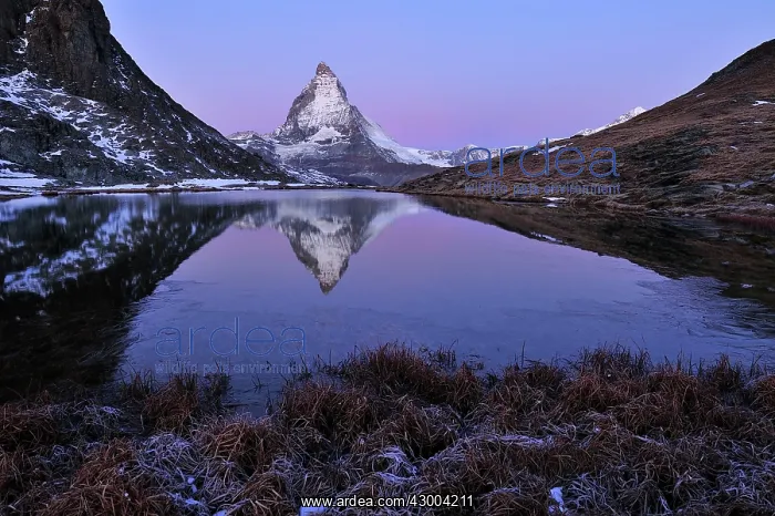 : Matterhorn with reflection Riffelsee at dusk before sunrise : Matterhorn with reflection Riffelsee at dusk before sunrise
