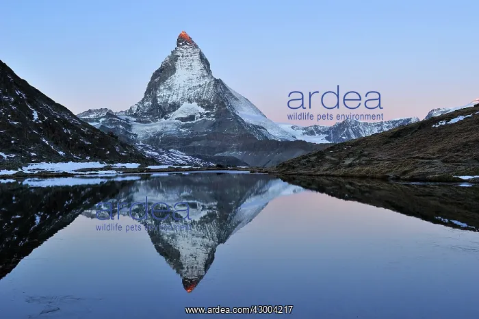: Matterhorn with reflection Riffelsee at dusk sunrise : Matterhorn with reflection Riffelsee at dusk sunrise