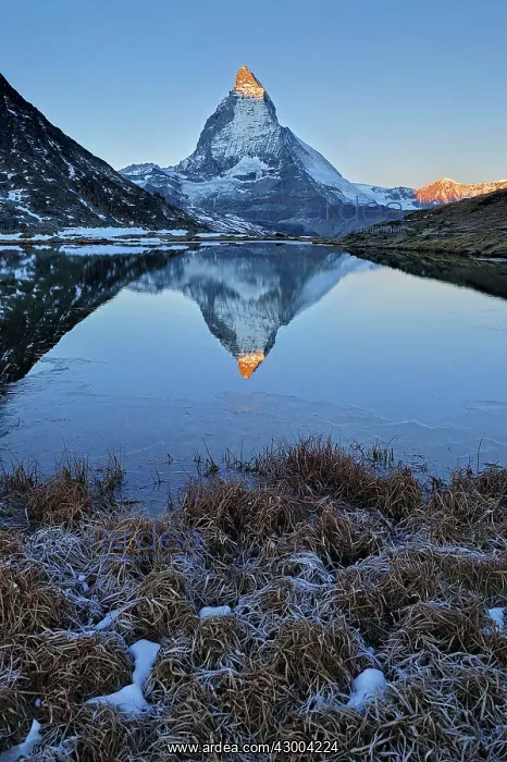 : Matterhorn with reflection Riffelsee at dusk sunrise : Matterhorn with reflection Riffelsee at dusk sunrise