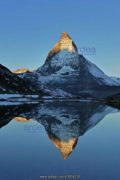 : Matterhorn with reflection Riffelsee at dusk sunrise : Matterhorn with reflection Riffelsee at dusk sunrise