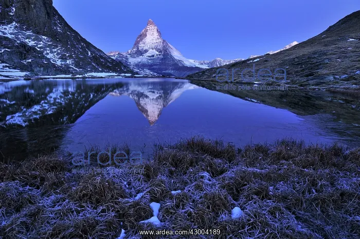 : Matterhorn with reflection Riffelsee at night before sunrise : Matterhorn with reflection Riffelsee at night before sunrise