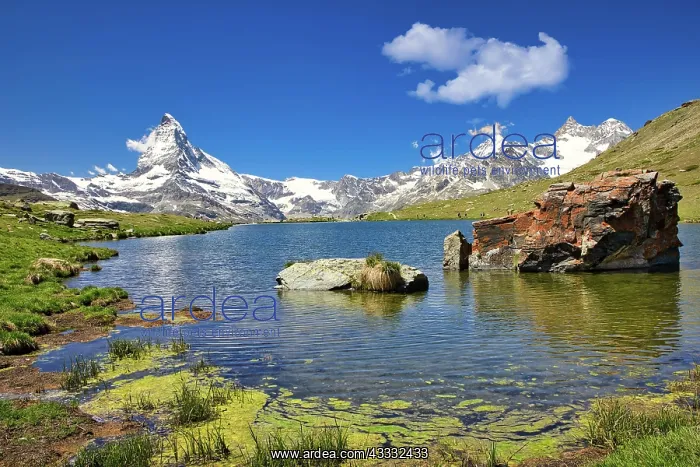 : Matterhorn with Stellisee panoramic view, Zermatt : Matterhorn with Stellisee panoramic view, Zermatt
