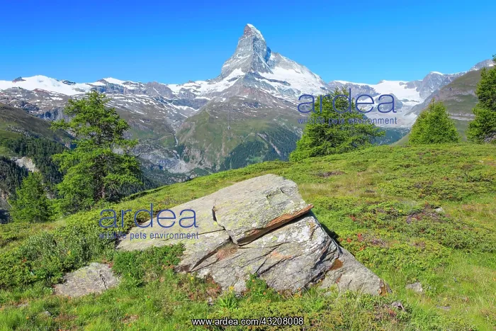 : Matterhorn in summer, Valais, Switzerland, Europe : Matterhorn in summer, Valais, Switzerland, Europe