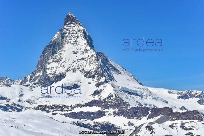 : Matterhorn vom Gornergrat, Zermatt, Switzerland : Matterhorn vom Gornergrat, Zermatt, Switzerland