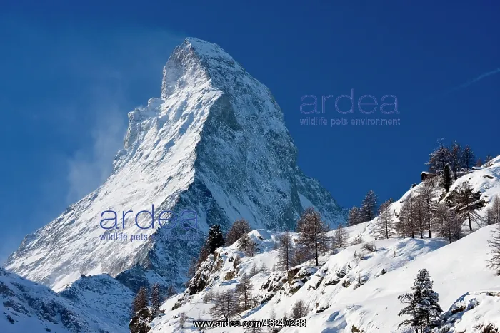 : The Matterhorn, Zermatt, Switzerland : The Matterhorn, Zermatt, Switzerland