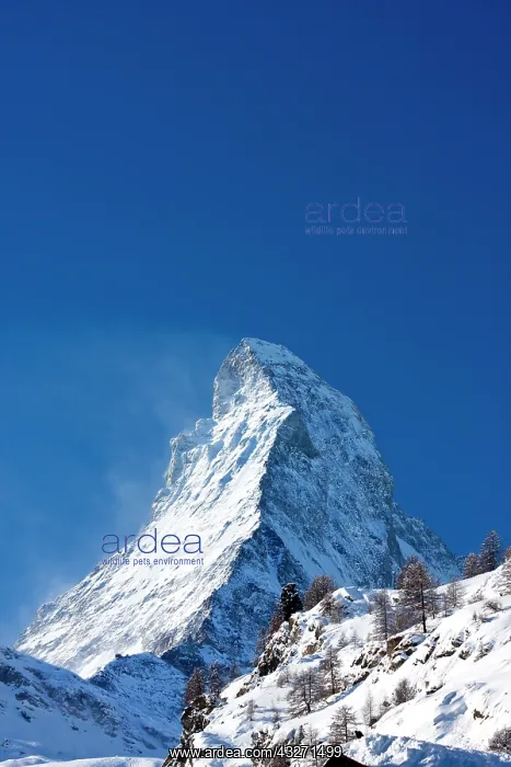 : The Matterhorn, Zermatt, Switzerland : The Matterhorn, Zermatt, Switzerland