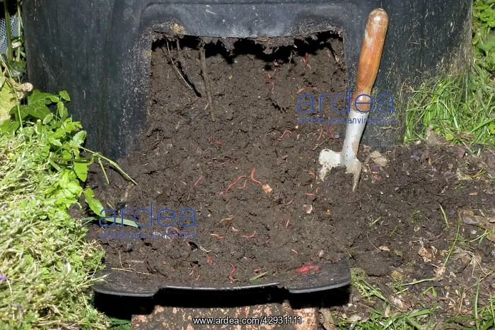 : Mature compost full of red worms : Mature compost full of red worms